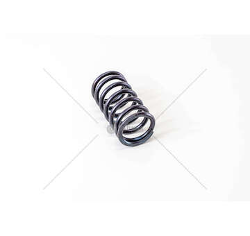 Valve Spring MOLLA (SING.)8210.02>42-190.26 > EUROTECH Mec-Diesel