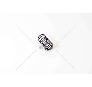 Valve Spring MOLLA VALVOLA EST. 616-625-645 /50 Mec-Diesel