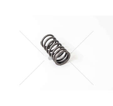 Valve Spring MOLLA VALVOLA EST.697/N-619/N1 (4624538) Iveco