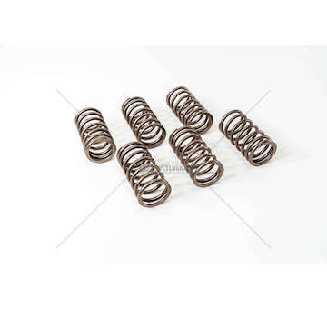 Valve Spring MOLLA VALVOLA EST.697/N-619/N1 (4624538) Mec-Diesel