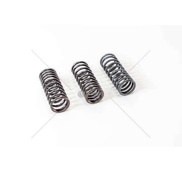 Valve Spring MOLLA VALVOLA INT.697/N-619/N1 (4624537) Mec-Diesel
