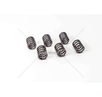 Valve Spring MOLLA VALVOLA PER TESTA VM Mec-Diesel