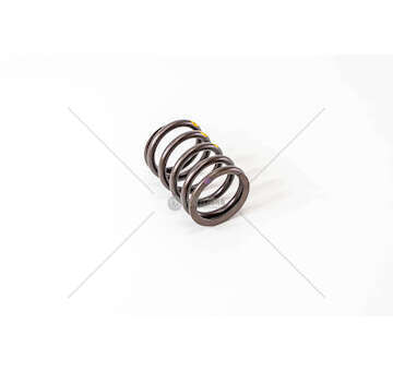 Valve Spring OM 401/402/441/442 - ESTERNO IN Mec-Diesel