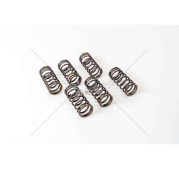 Valve Spring OM 401/402/441/442 - INTERNO EX Mec-Diesel
