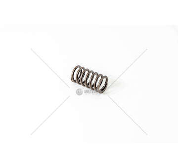 Valve Spring OM 900/902/904 - VARIO/ATEGO 2 IN Mec-Diesel