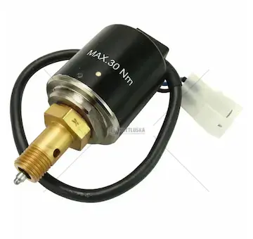 Ventil original el.erch em2 24v | 3588210040