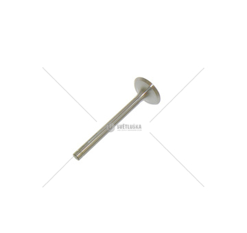 Ventil sací 69010555.CZ