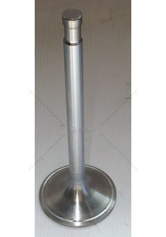 Ventil sací Euro II