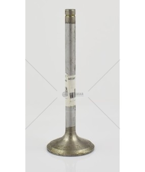 Ventil sací MAN D0226MK/MKF/MT D0824/6  51041010417/Z