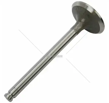 Ventil sací massey mf4 | 31431641