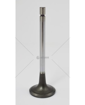 Ventil sací MB ACTROS,AXOR KOLBENSC 16204