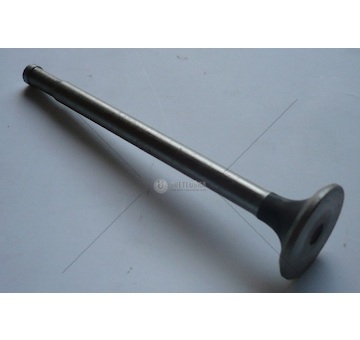 Ventil sací Multicar M22