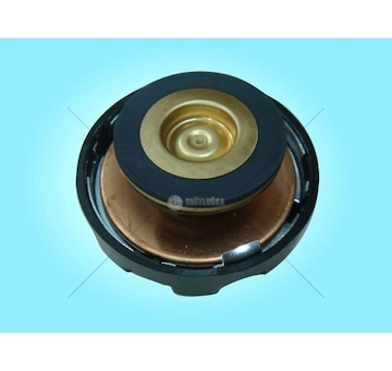 Víčko vyrovnávací nádobky Volvo B10/B12 TZERLI 3018008/Z