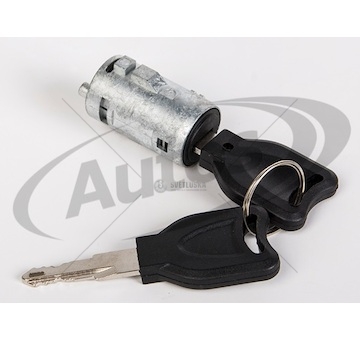 Vložka zámku dveří l/p rvi premium, midlum 210/270 od 2000, daf 45 0202175_A