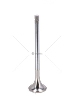 Výfukový ventil KOLBENSC 105-35548