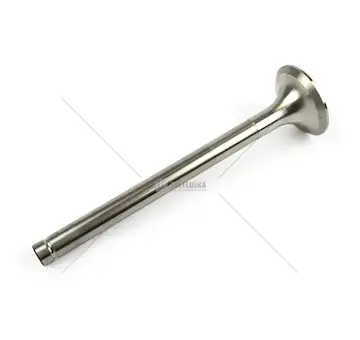 Výfukový ventil originál balení | 78.005.015