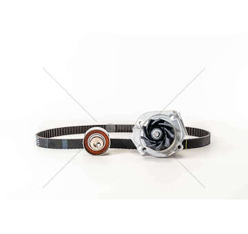 Water Pump & Timing Belt Set 350A1 - DOBLO'/PUNTO 1.4/1.2I Ina