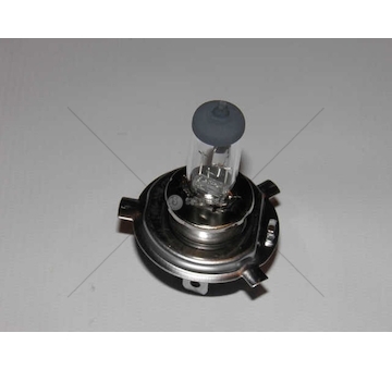 Žárovka H4 24V 100/90W P43ERMAX091424137 ERMAX H42410090/ER