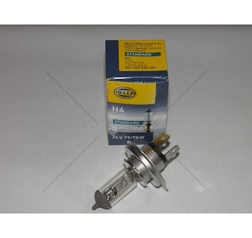 Žárovka, hlavní světlomet HELLA 8GJ 002 525-251