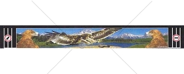 Zástěrka dlouhá orel LONG VEHICL SERTPLAS CHL031