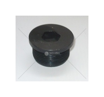 Zátka M27x1,5 přední víko Tatra