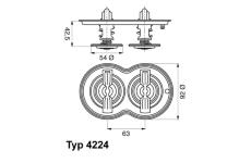 Termostat, chladivo BorgWarner (Wahler) 4224.80D