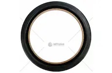 Agco gufero | 4307366M1