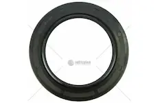 Agco gufero 70x100x12 | 3014210X1