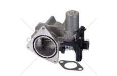 AGR-Ventil PIERBURG 7.00823.06.0