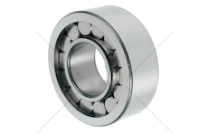 BEARING 45X100X36 MM EURORICA 98170040