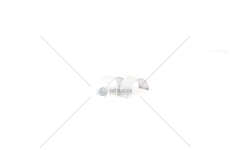 Big End Bearings 8040/60.05/25/45 - EUROCARGO STD Mec-Diesel