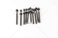 Bolt Kit, cylinder head ACCENT IV/I10/I20/I30/PICANTO G4LC/G4LA Elring