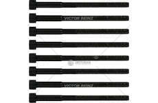 Bolt Kit, cylinder head I10/I20/I30 1.0 G3LA/G3LC/B3LA Victor Reinz