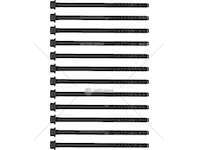 Bolt Kit, cylinder head S.VITI 159 2.4 JTD - CROMA 2.4 D MULTIJET Victor Reinz