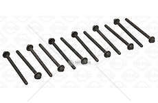 Bolt Kit, cylinder head S.VITI AGILA/CORSA 1.2 16V Elring
