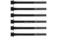 Bolt Kit, cylinder head SERIE BULLONI TESTA CILINDRI Victor Reinz