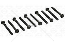 Bolt Kit, cylinder head SERIE VITI SCUDO 2.0 HDI-JTD8V RHX/DW10 Elring