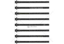 Bolt Kit, cylinder head SERIE VITI SMART 600/700 9X1,25X145 Victor Reinz