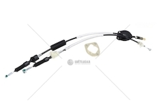 CABLE MTX COR-DAY-9881