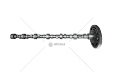 Camshaft D 2556M/ D 2566 M - 170/240 CV ASPIRATED Mec-Diesel