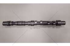 Camshaft F1AE0481 - DA MATR. 329611 IN Iveco