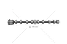 Camshaft F1CE0481 - DA MATR.329611 IN Mec-Diesel