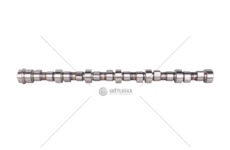 Camshaft F2BE0642/F2BE3682 - CITELIS Iveco