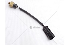 Čidlo teploty Multicar M26.2,4