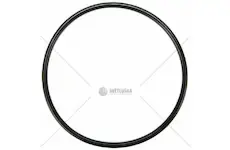 Cnh těsnění | 5194880