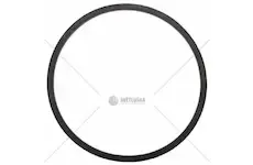 Cnh těsnící kroužek - guma | C0NN7C000A