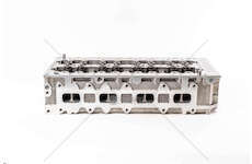 Cylinder Head F1AE0481 - DAILY/DUCATO >1303265 W/VALVES Mec-Diesel