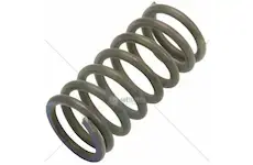 Cz pružina ventilu 16v (p,f) | 19.006.517