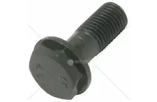Cz šroub setrvačníku | 78.003.115