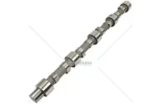 Cz vačkový hřídel (p,f) bal. v krabici | 19.004.504